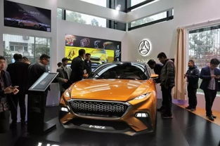 銷量欠佳、工廠放假、盈利受困 合眾汽車的量產野心與尷尬現(xiàn)實